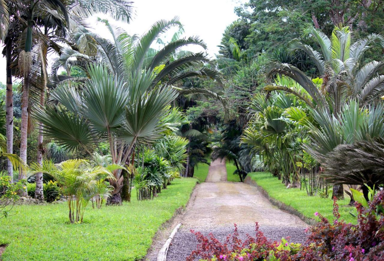 Bnb Tropical Island Aparthotel - Corales Del Sur - Santo Domingo Este Εξωτερικό φωτογραφία